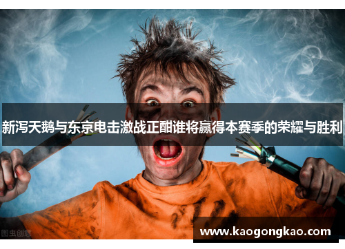 新泻天鹅与东京电击激战正酣谁将赢得本赛季的荣耀与胜利